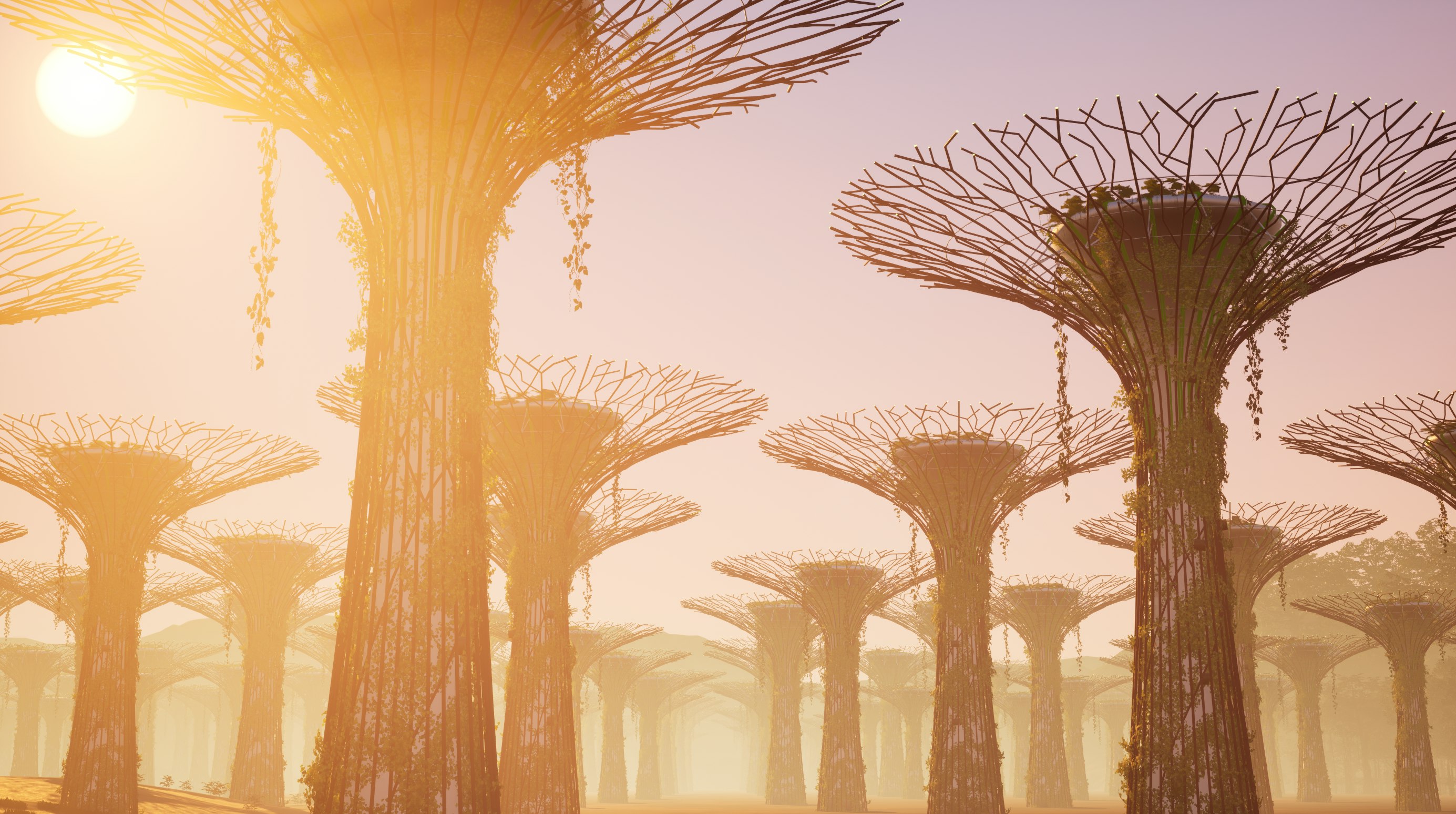 Capture d’écran, Alice Bucknell, Staring at the Sun, 2024-2025 © Alice Bucknell