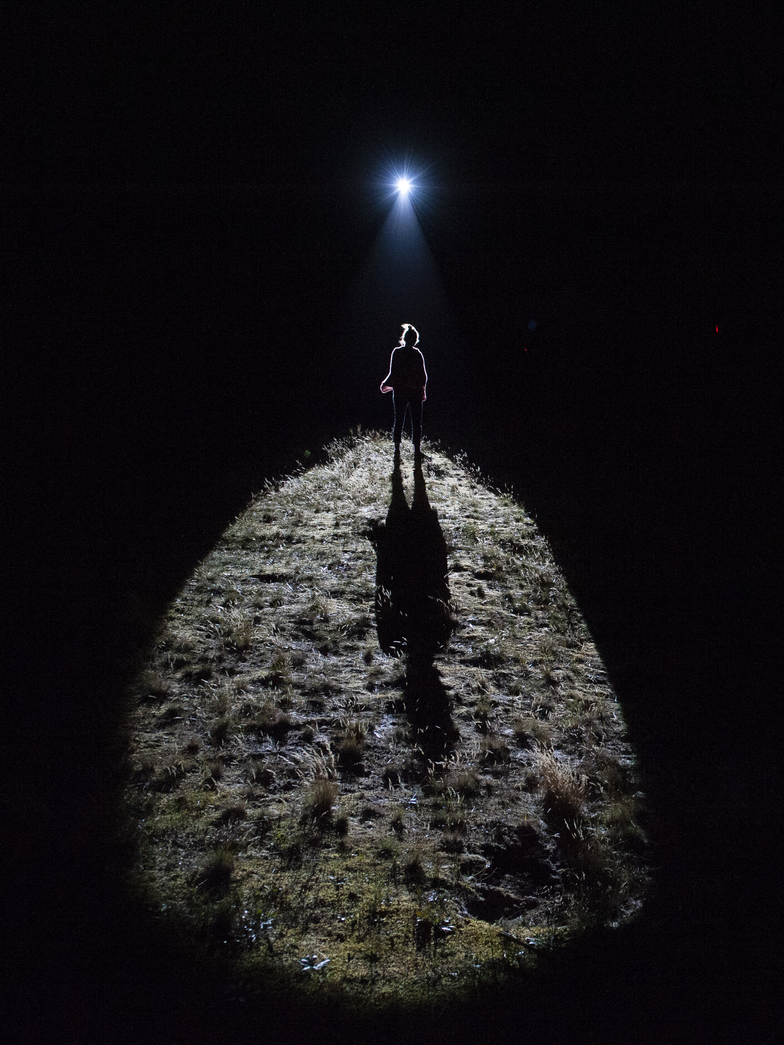 Daems van Remootere, Track Tracy, 2018. Photo : Sander Heezen, 2019. 