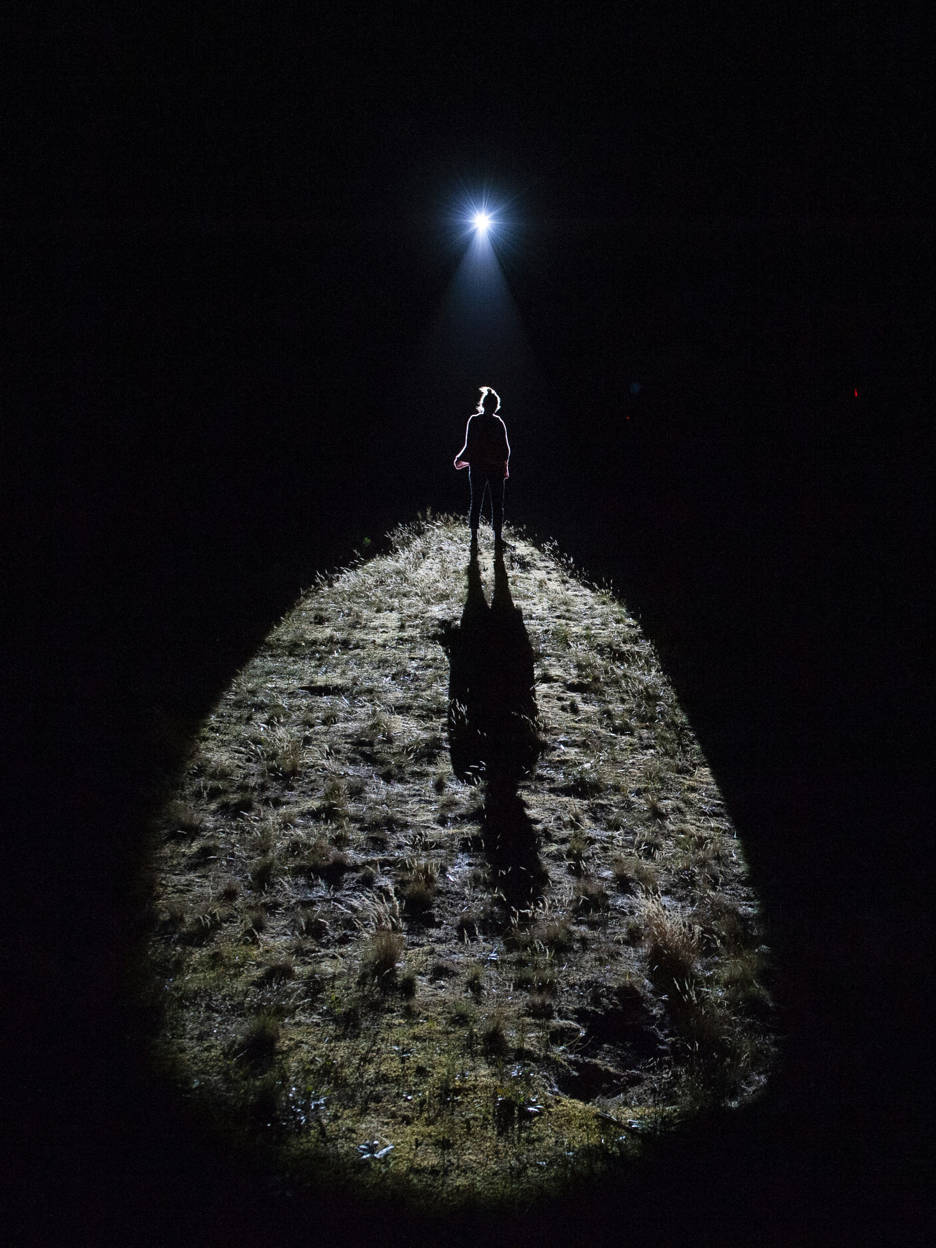 Daems van Remootere, Track Tracy, 2018. Photo : Sander Heezen, 2019.